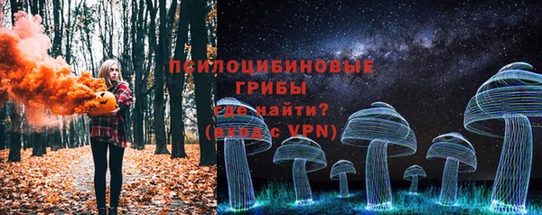 PSILOCYBIN Верхний Тагил